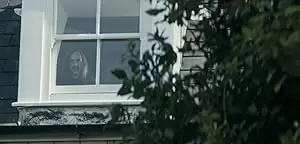 Knock, Knock