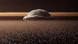 S1.E5 ∙ Strange Worlds
