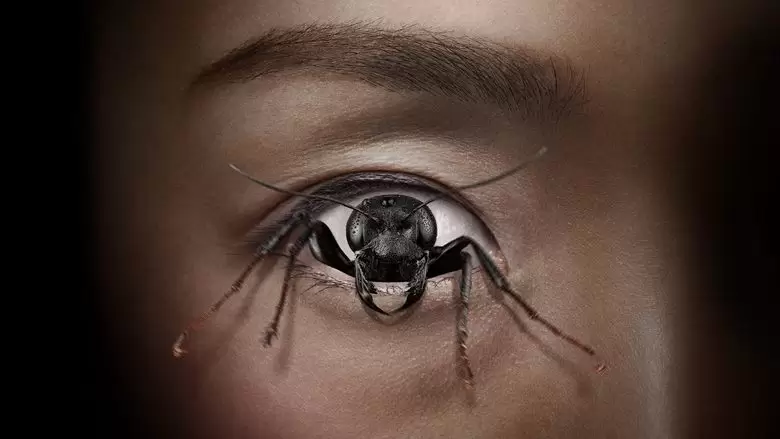 فیلمهای مطرح  سال 2025