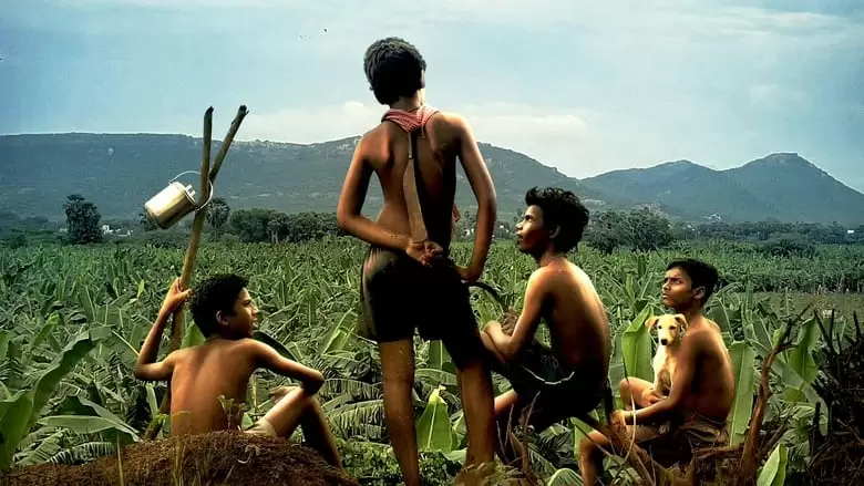 فیلمهای مطرح  سال 2024