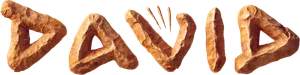 David Logo