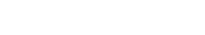A Nice Indian Boy Logo