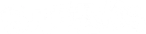Sneaks Logo