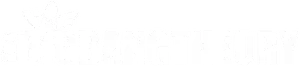 The Big Bang Theory Logo