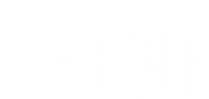 The Naked Gun Logo