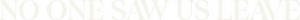 No One Saw Us Leave Logo