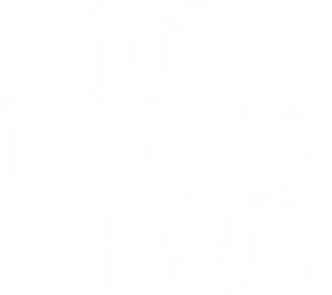 100 Nights of Hero Logo