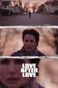 Love After Love Poster