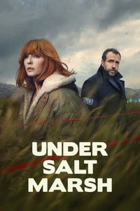 Under Salt Marsh Poster