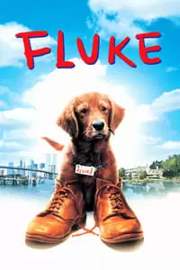 Fluke Poster