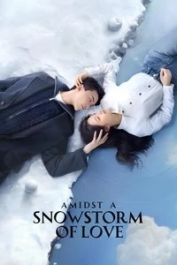 Amidst a Snowstorm of Love Poster