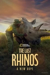 The Last Rhinos: A New Hope Poster
