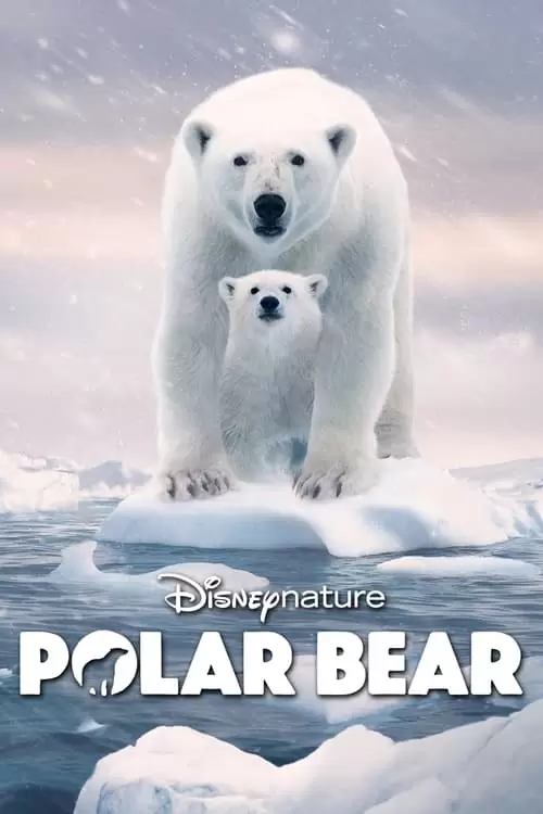 Polar Bear Poster