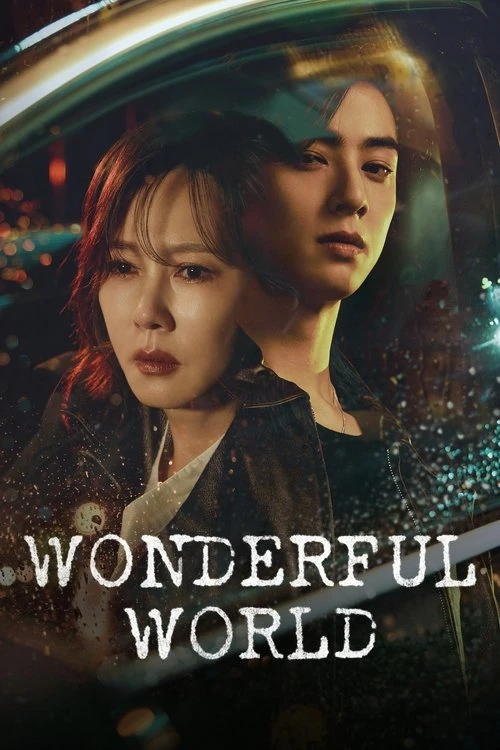 Wonderful World Poster
